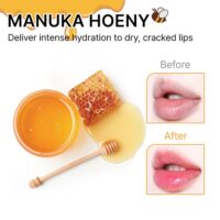 YNM - Candy Honey Lip Balm - 1 Colors (x4) (Bulk Box) - Image 6