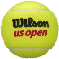 Wilson US Open Tennis Balls - Image 4