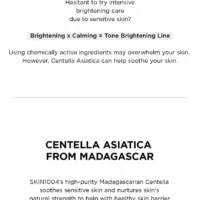 SKIN 1004 - Madagascar Centella Tone Brightening Capsule Ampoule Jumbo - Image 8